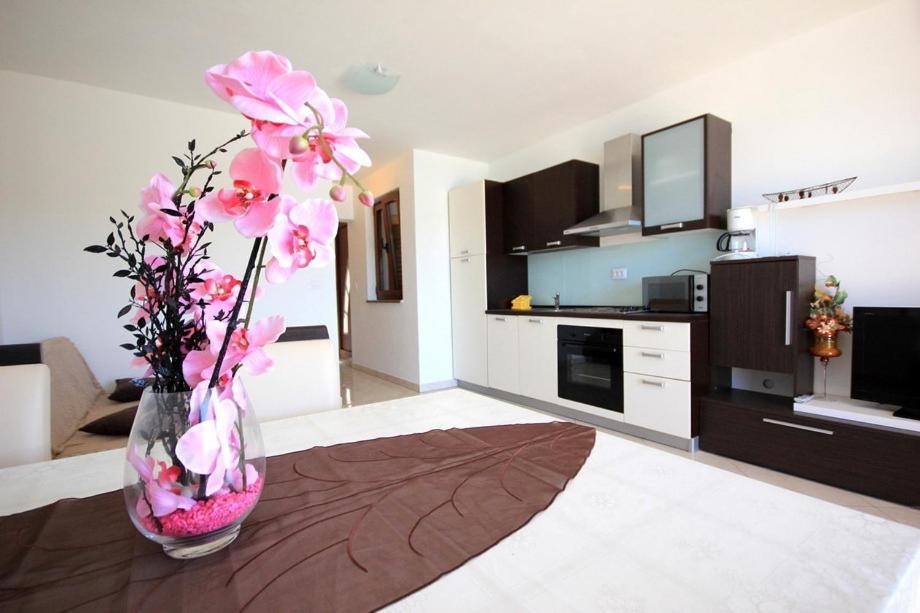 Vila Orada Molat Habitación foto
